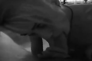 Short haired golden-haired skank enjoys engulfing my prick in front of a camera