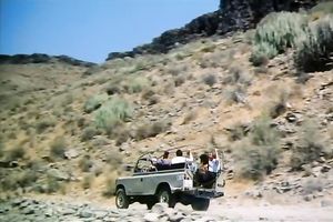 Tasty looking blonde playgirl sucks staff cock of her BF right in car