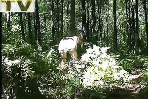 Juicy dilettante golden-haired amateur wife makes water in the woods outdoors