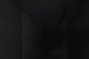 Old dark fellow bonks my constricted muff in missionary position