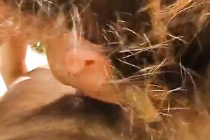 Giving deepthroat blow job to my lustful boyfriend on a public beach