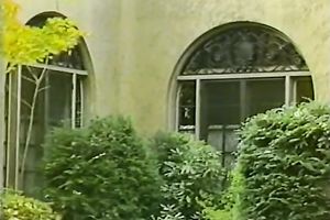 Two light head breasty honey hunt for jism in fantastic FFM loping