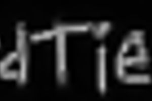 Stunning brunette slutwife bounded with ropes pleases her corporalist