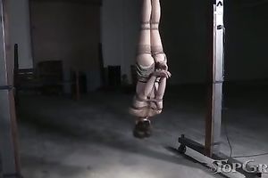 Short haired brunette hair babe suspended upside down by her headmistress