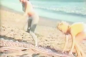 Bitch with large hair gives head to a guy and lets him drill her muff