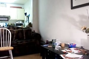 Webcam solo with me twerking my gracious swarthy ass