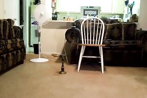 Webcam solo with me twerking my gracious swarthy ass