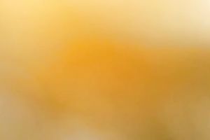 POV episode with me playing with my bride's hairless cookie