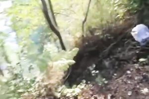 Super lewd honey is having an awesome sex in the woods