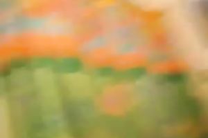 Magnificent dark brown honey on cam shows off her hawt body