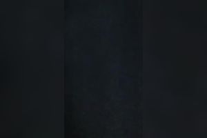 Hidden web camera upskirt episode with a bulky wench wearing a miniskirt