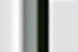 Indian stud bonks his GF's coochie in the missionary pose