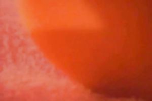 Slutty and perverted bitch with hairless muff masturbates