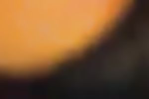 Missionary style and sideways fuck with my bulky old colleague