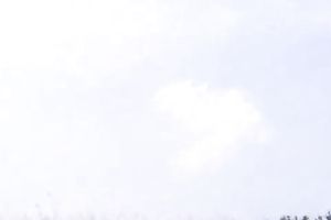 Horny and lewd blondie floozy with priceless body lays exposed