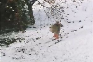 Sensual dark brown masturbates her red haired muff closeup movie scene