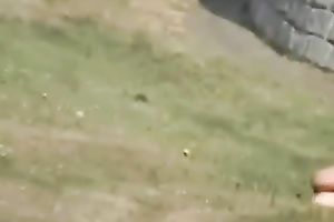 These 2 appeared to be to be obsessed with having a wild sex outdoors