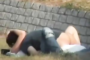 These 2 appeared to be to be obsessed with having a wild sex outdoors