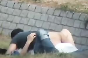 These 2 appeared to be to be obsessed with having a wild sex outdoors