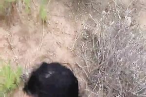 Horn made brunette babe goes down on her knees to give me orall-service