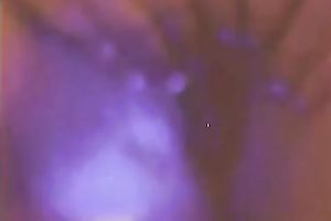 Fat white dilettante slut on web camera licks her teats