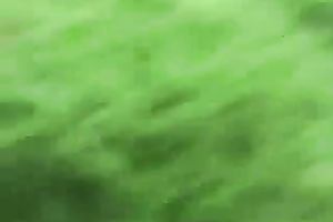 Amateur Asian gals in bikinis receive caught on a hidden web camera