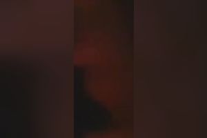 This agonorgasmos lust chick sucks her BF's sausage wonderfully