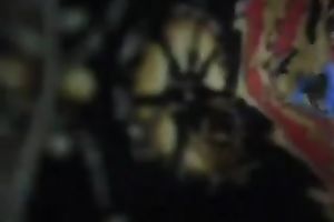 This is a sexy upskirt clip of sizzling hawt nympho