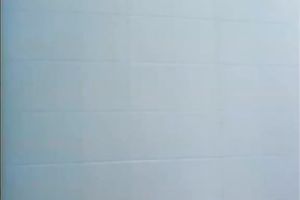 Two frisky lesbos caress every other in a shower