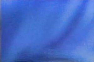 Her bushy and naughty looking muff got fucked hard