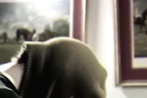 Extremely immoral and hot hottie got her cookie gangbanged hard