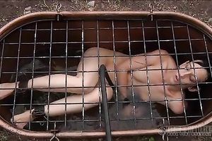 Salacious babe with valuable mounds acquires totally dominated