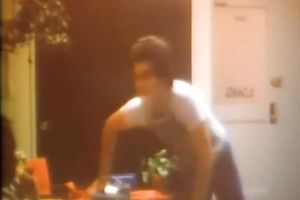 Vintage porn with hawt and hot brunette blowing her stud