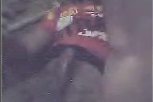 Hot Indian juvenile slutty wife rides on her hubby in front of web camera