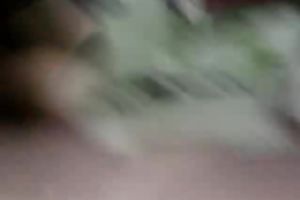 Seductive flat chested dark brown exposes her body for me