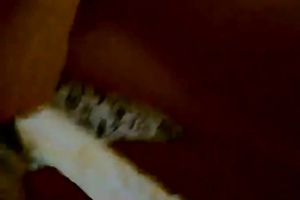 Appetizing legal age teenager in hawt nylons gives me an outstanding oral-service