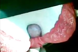 Picked up pale nympho with flushing cheeks sucked my ally outdoors