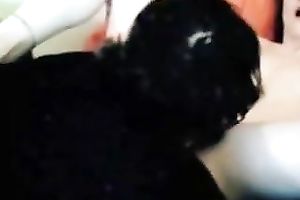 Emotional pale bitchie dark brown was tickled by her nerdy BF on livecam