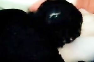 Emotional pale bitchie dark brown was tickled by her nerdy BF on livecam