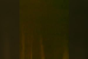 Bitchy golden-haired gal acquires her hairy kitty turbulently fingered and shoved from behind