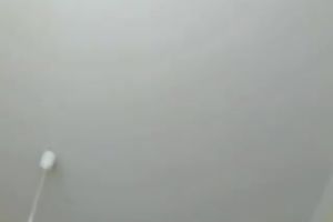 Brunette cutie disrobes and masturbates in web camera solo scene