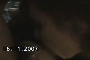 Bulgarian intimate tape featuring steamy oral stimulation