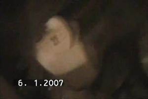 Bulgarian intimate tape featuring steamy oral stimulation