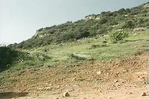 NIce blowjob from hot and perverted sweetheart in her hawt taut pants