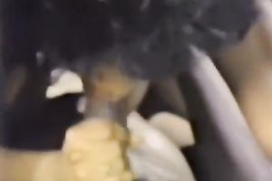 Two sexually excited harlots decided to give a valuable blowjob to kinky engineer