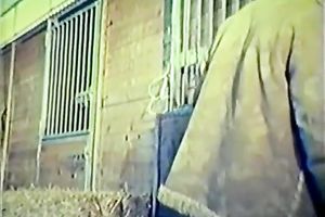 Super hawt and hot white honey got her cunt drilled truly hard