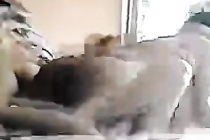 Me and my white wife making love in the missionary pose homemade sex tape