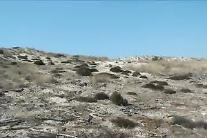 Tied big beautiful woman bitch acquires her loose snatch group-fucked outdoors