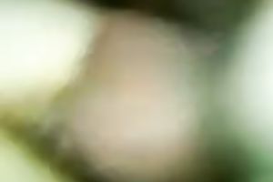 Closeup missionary style fucking my preggy Romanian white women