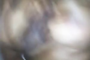 Ebony prostitute took my large wang in her constricted and moist cunt